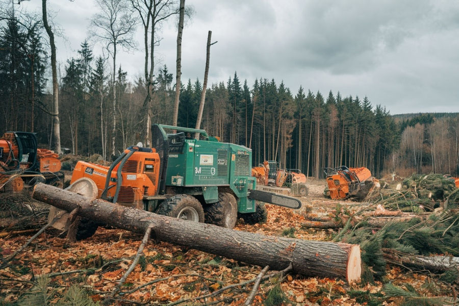 FAMMS - Forest Anti-illegal Logging Monitoring and Management Support