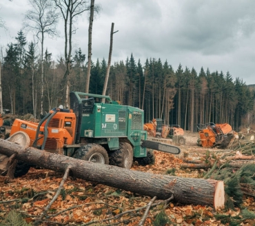 FAMMS - Forest Anti-illegal Logging Monitoring and Management Support